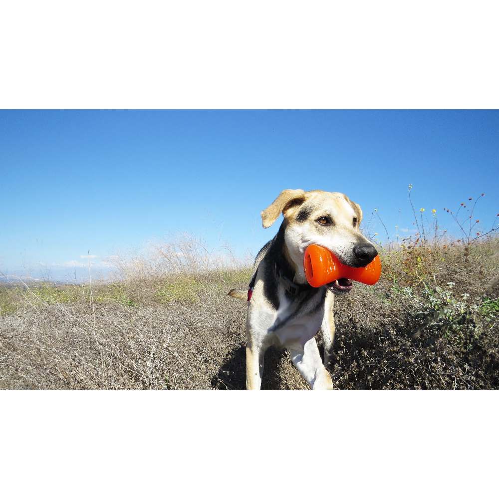 Juguetes ultra resistentes para perros BIONIC Hueso