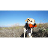 Juguetes ultra resistentes para perros BIONIC Hueso