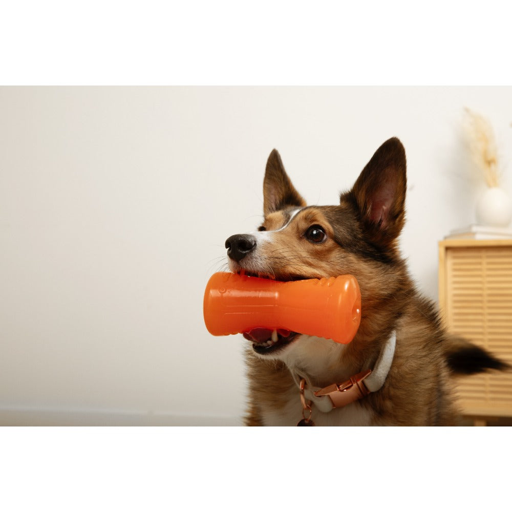 Juguetes ultra resistentes para perros BIONIC Hueso