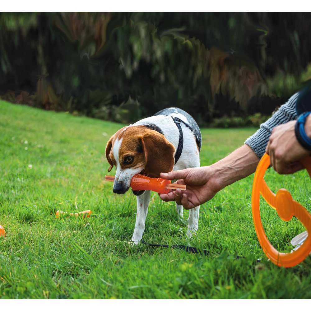 Juguetes ultra resistentes para perros BIONIC Hueso