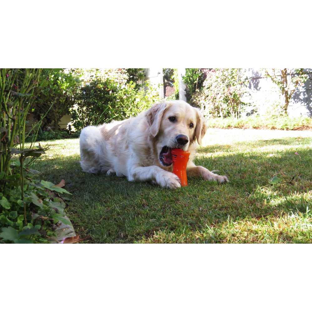 Juguetes ultra resistentes para perros BIONIC Hueso