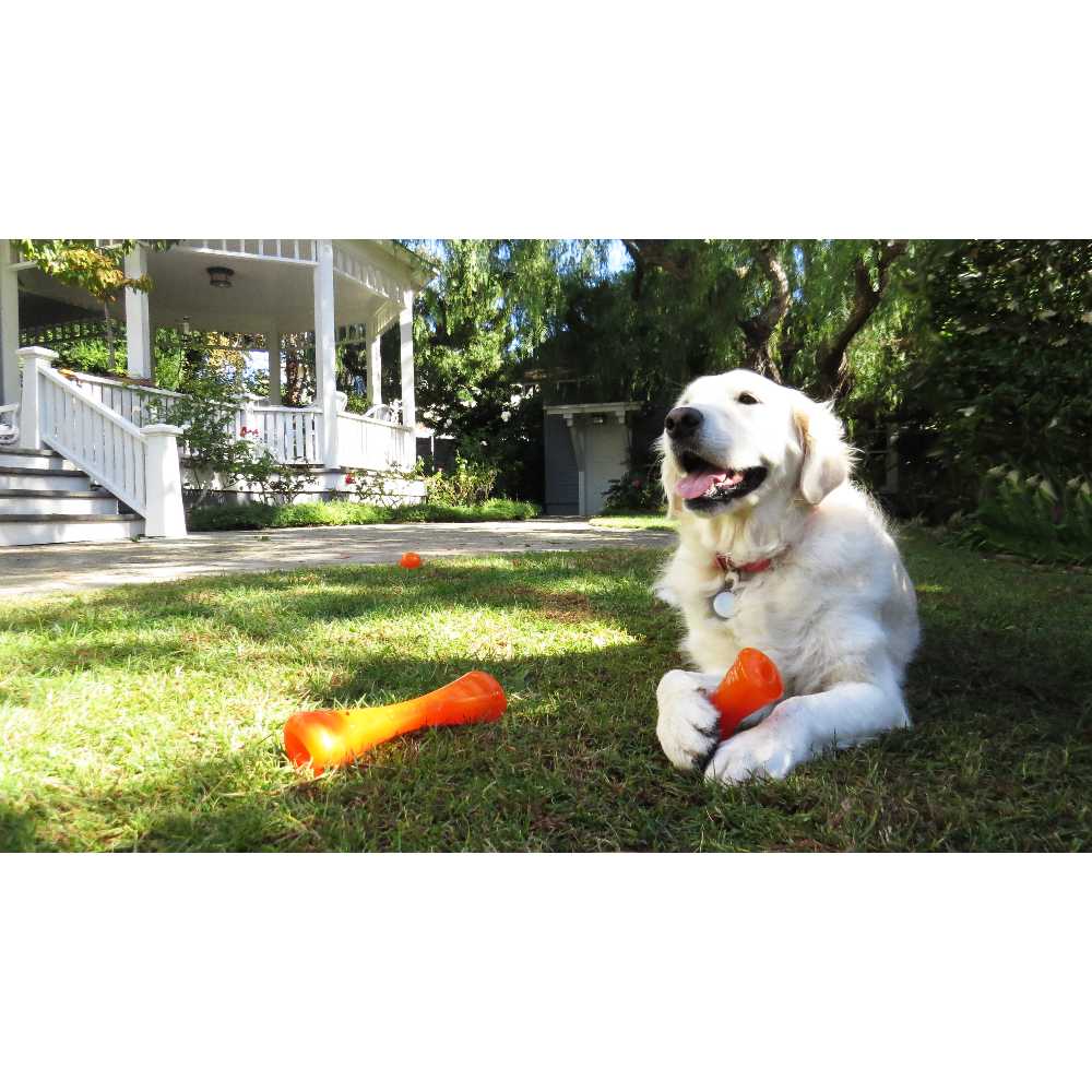 Juguetes ultra resistentes para perros BIONIC Hueso