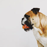 Juguetes ultra resistentes para perros BIONIC Hueso