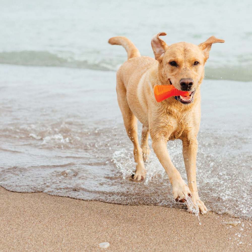 Juguetes ultra resistentes para perros BIONIC Hueso