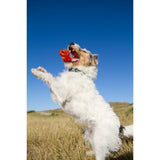 Juguetes ultra resistentes para perros BIONIC Hueso