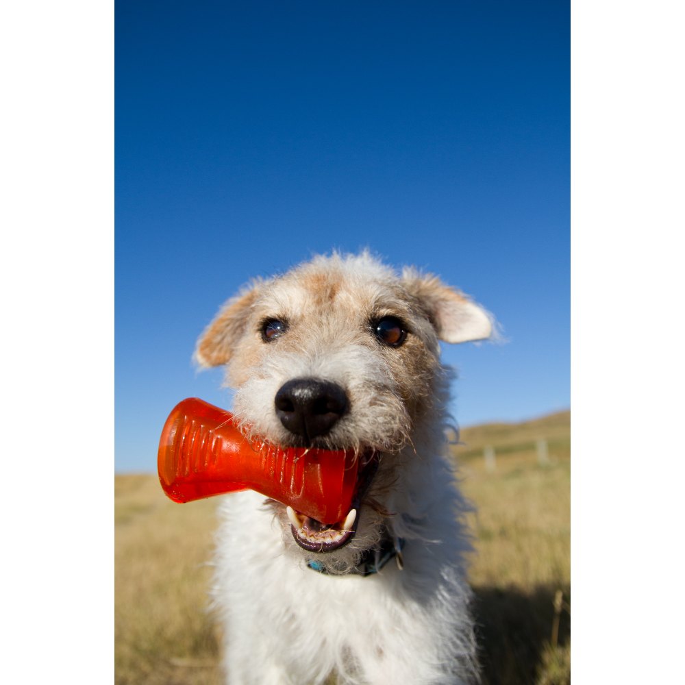 Juguetes ultra resistentes para perros BIONIC Hueso