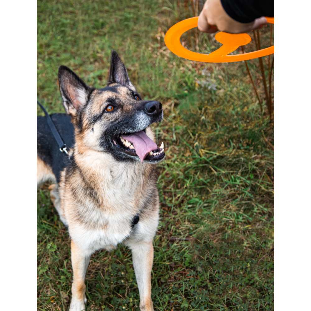 Juguete ultra resistente para perros BIONIC Toss-N-Tug