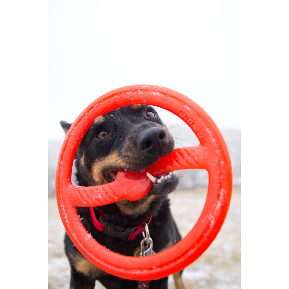 Juguete ultra resistente para perros BIONIC Toss-N-Tug