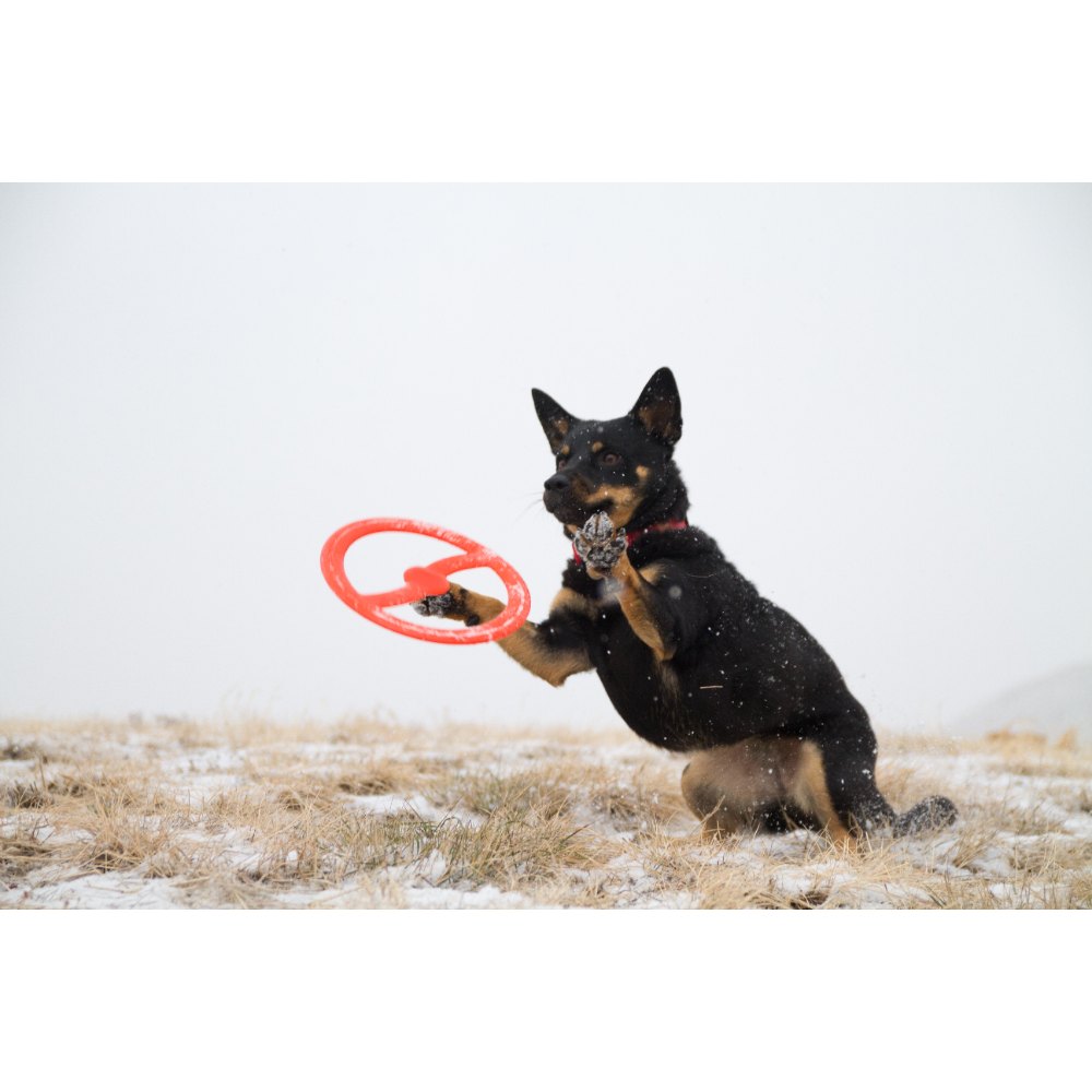Juguete ultra resistente para perros BIONIC Toss-N-Tug