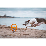 Juguete ultra resistente para perros BIONIC Toss-N-Tug