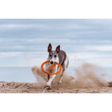 Juguete ultra resistente para perros BIONIC Toss-N-Tug