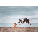 Juguete ultra resistente para perros BIONIC Toss-N-Tug