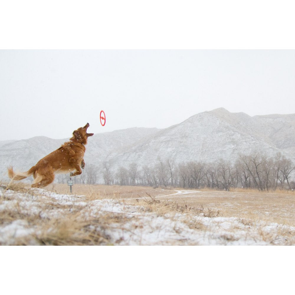 Juguete ultra resistente para perros BIONIC Toss-N-Tug