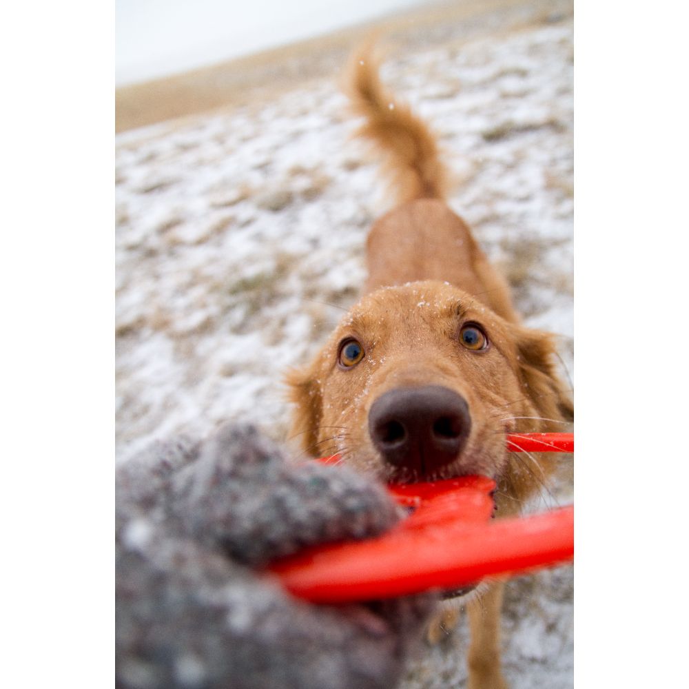 Juguete ultra resistente para perros BIONIC Toss-N-Tug