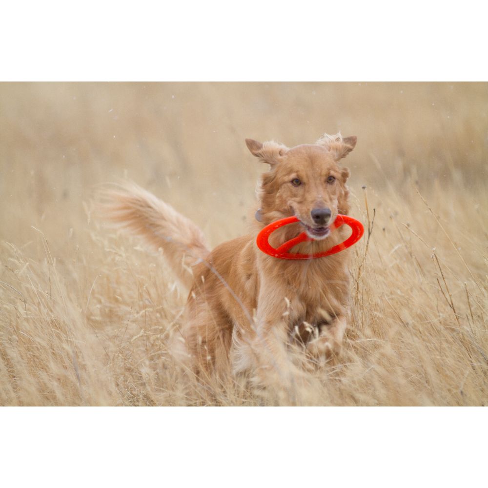 Juguete ultra resistente para perros BIONIC Toss-N-Tug