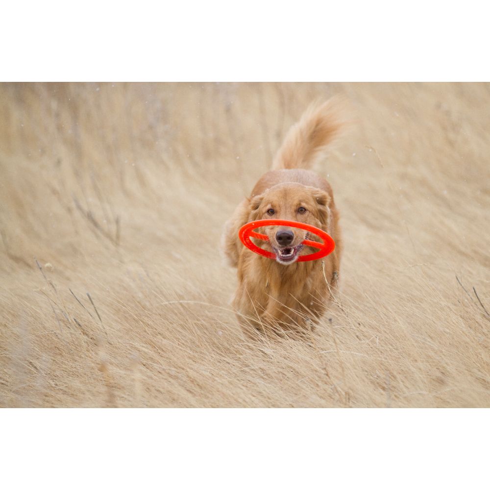 Juguete ultra resistente para perros BIONIC Toss-N-Tug