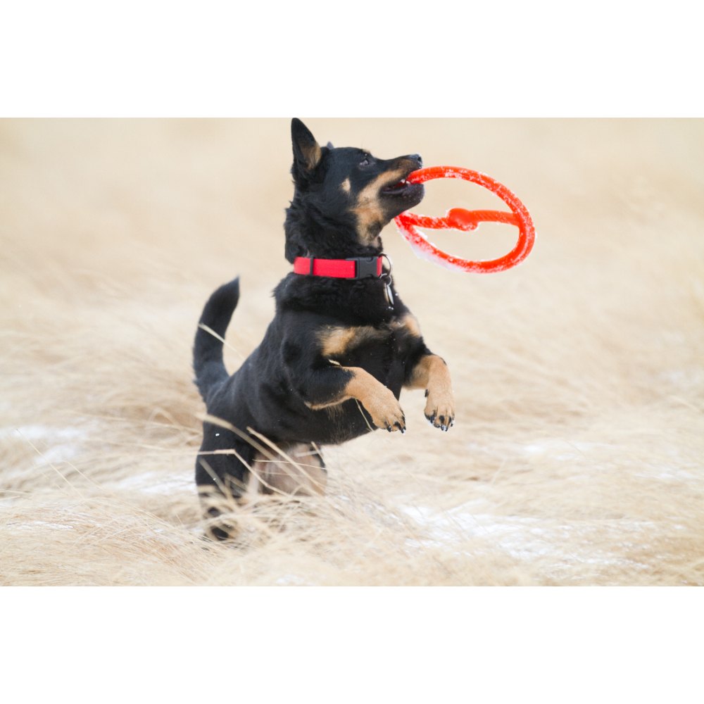 Juguete ultra resistente para perros BIONIC Toss-N-Tug