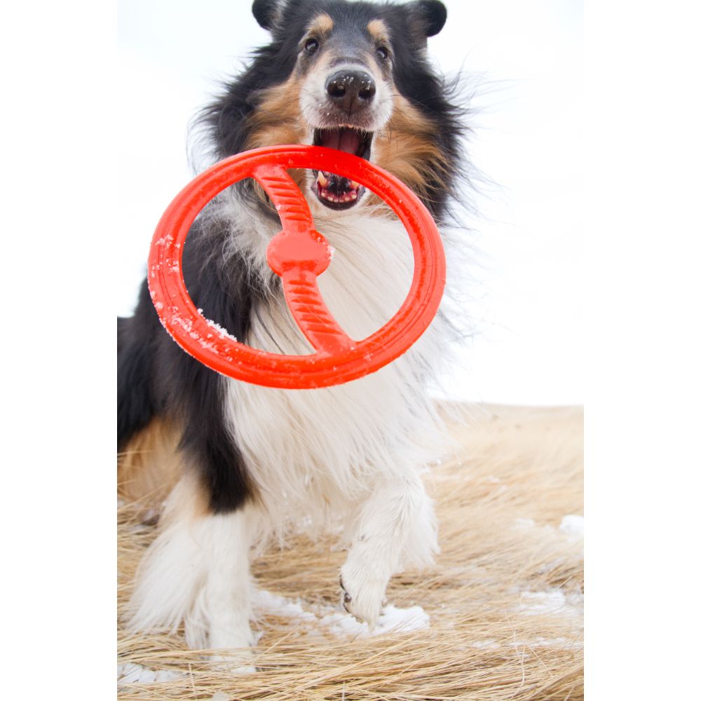 Juguete ultra resistente para perros BIONIC Toss-N-Tug