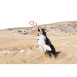 Juguete ultra resistente para perros BIONIC Toss-N-Tug