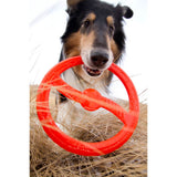 Juguete ultra resistente para perros BIONIC Toss-N-Tug