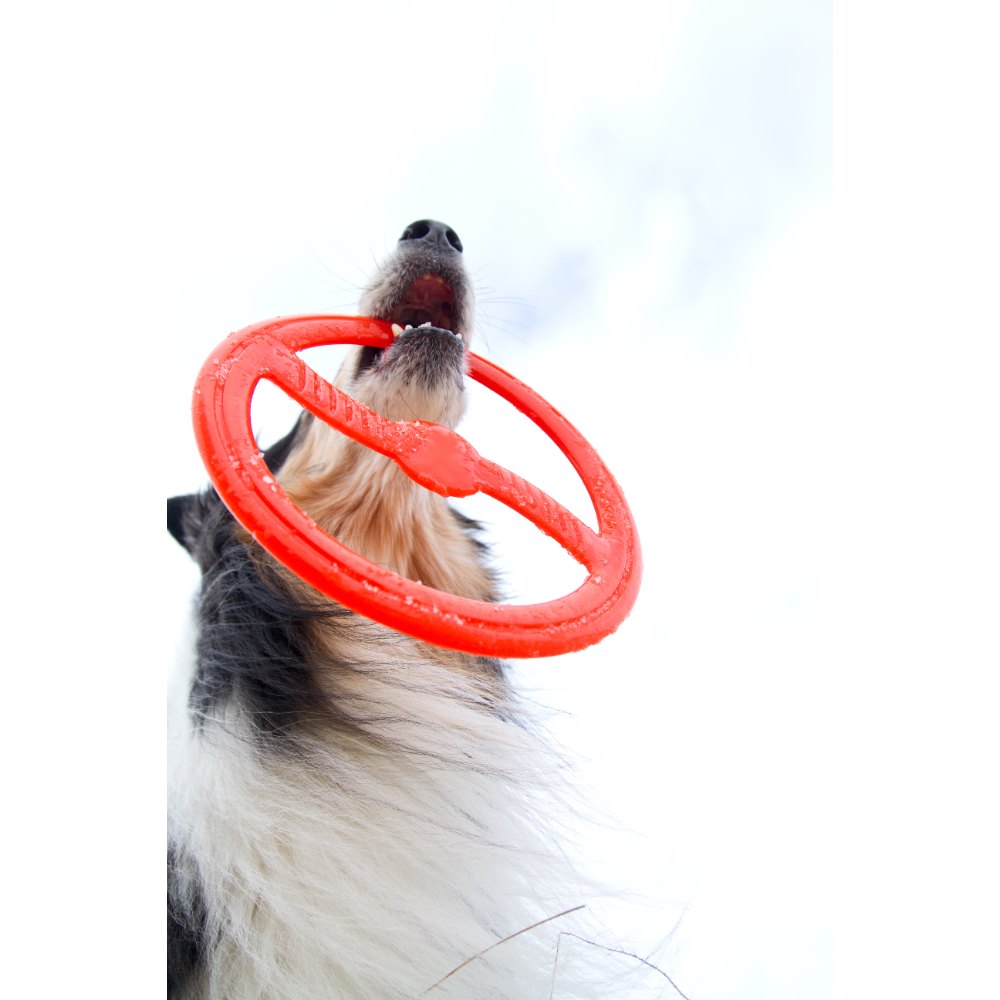 Juguete ultra resistente para perros BIONIC Toss-N-Tug