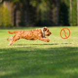 Juguete ultra resistente para perros BIONIC Toss-N-Tug