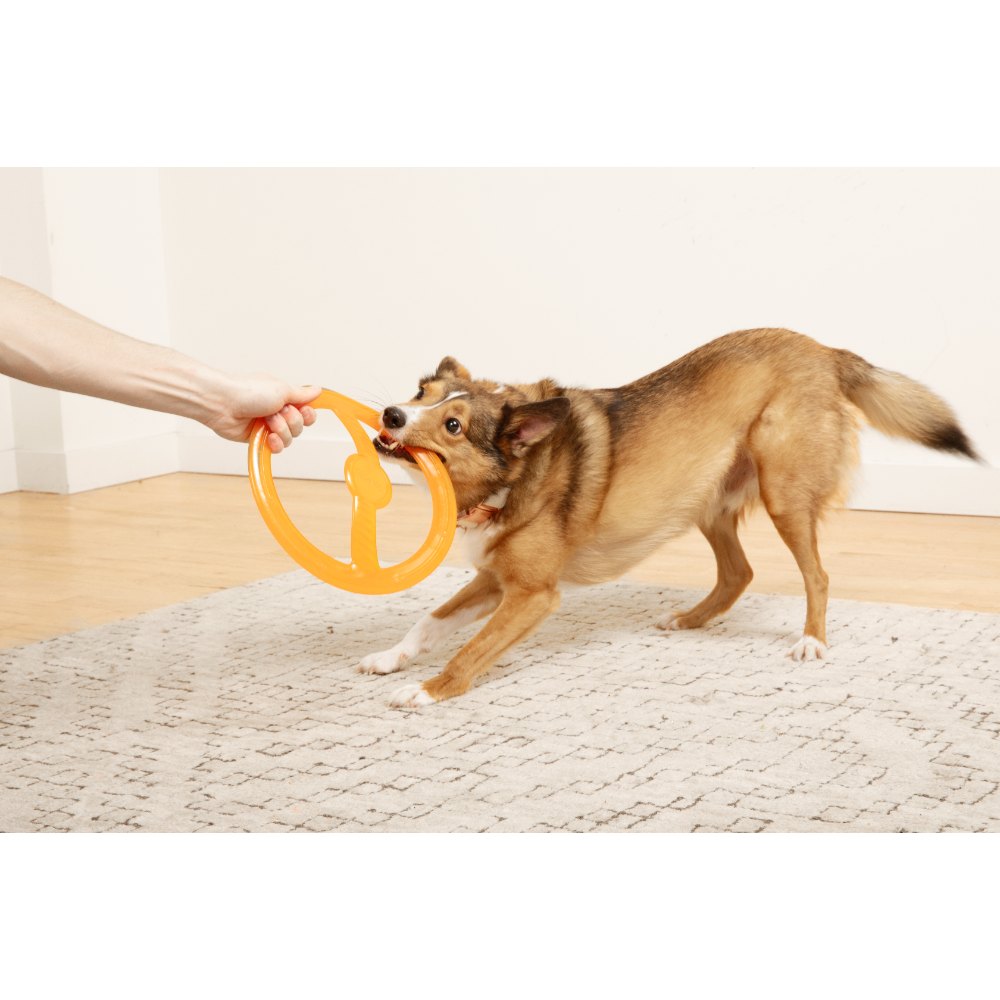 Juguete ultra resistente para perros BIONIC Toss-N-Tug