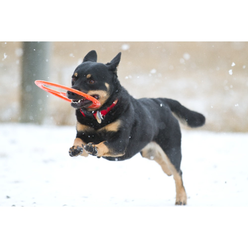 Juguete ultra resistente para perros BIONIC Toss-N-Tug
