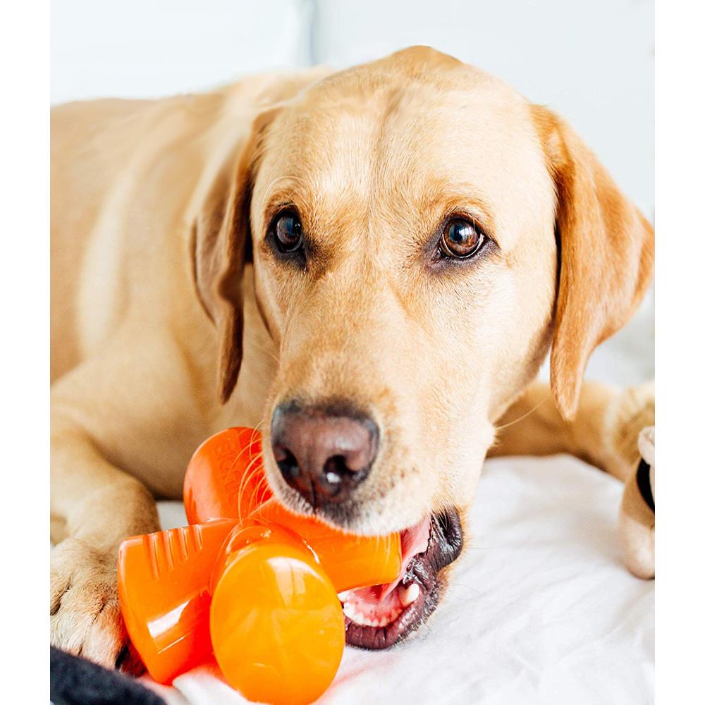 Juguete ultra resistente para perros BIONIC Stuffer
