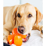 Juguete ultra resistente para perros BIONIC Stuffer