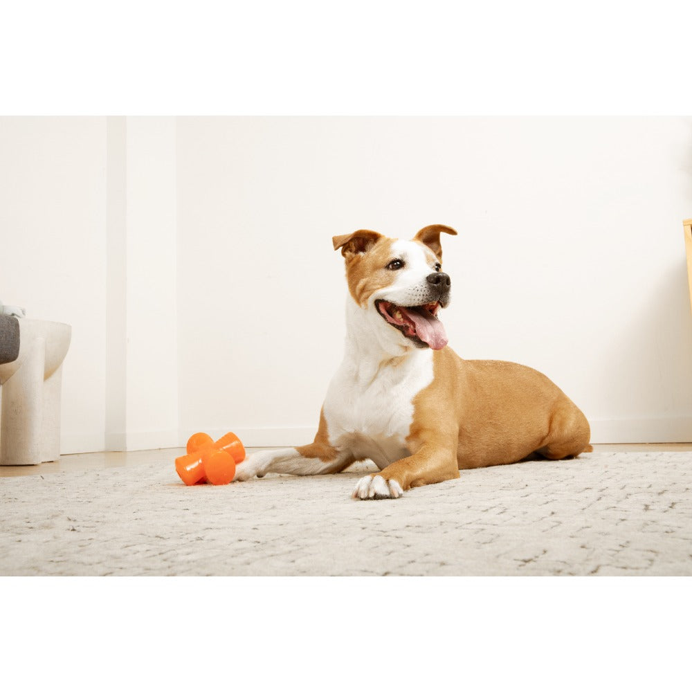 Juguete ultra resistente para perros BIONIC Stuffer
