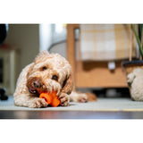Juguete ultra resistente para perros BIONIC Treat Star