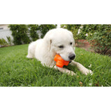 Juguete ultra resistente para perros BIONIC Treat Star