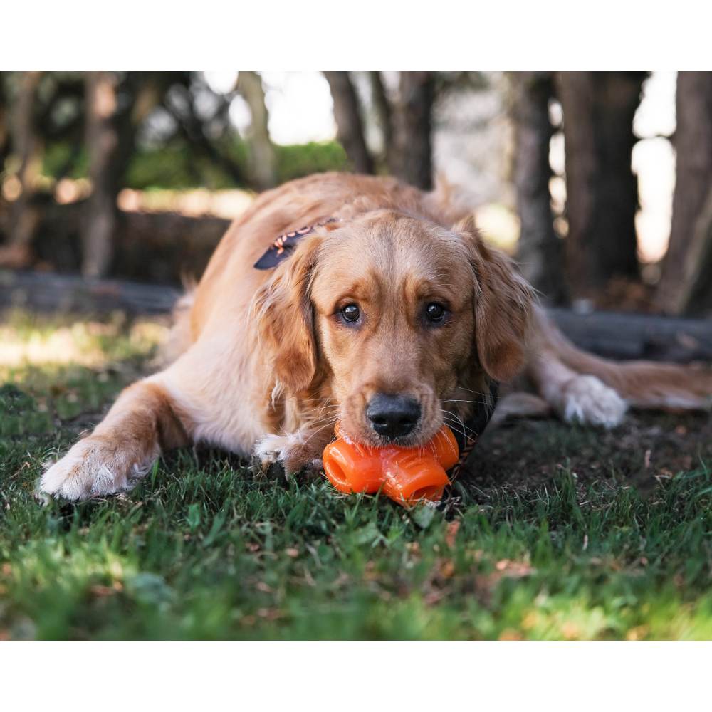 Juguete ultra resistente para perros BIONIC Treat Star