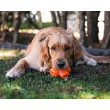 Juguete ultra resistente para perros BIONIC Treat Star