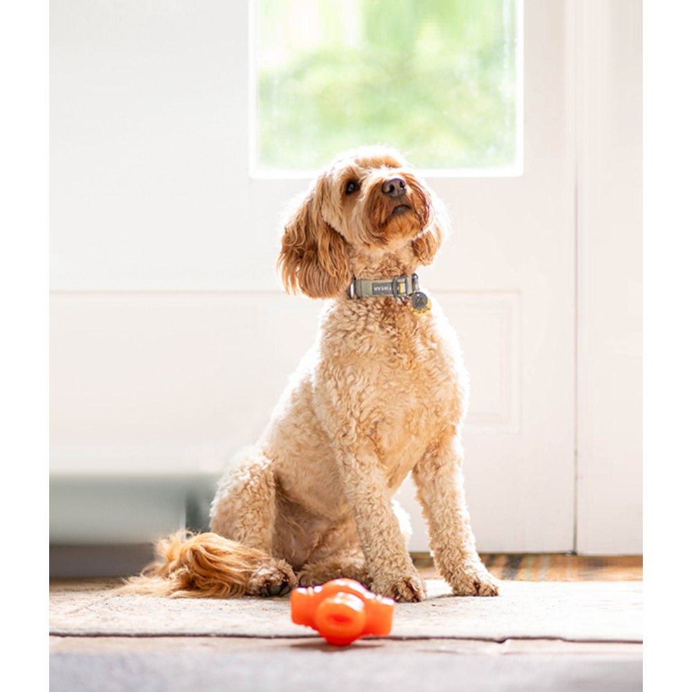 Juguete ultra resistente para perros BIONIC Treat Star