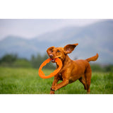 Juguete ultra resistente para perros BIONIC Toss-N-Tug Turbo