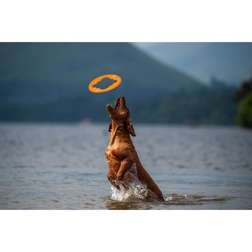 Juguete ultra resistente para perros BIONIC Toss-N-Tug Turbo