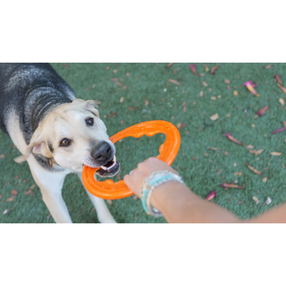 Juguete ultra resistente para perros BIONIC Toss-N-Tug Turbo