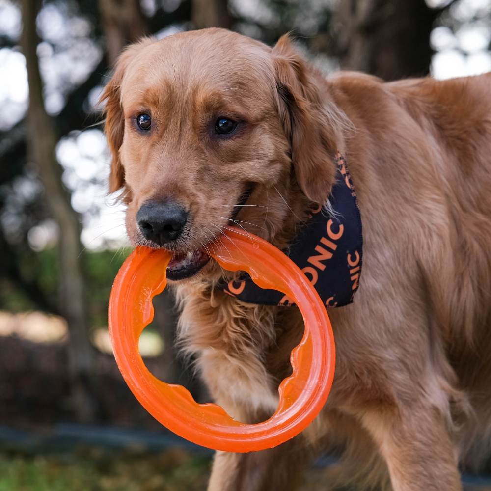 Juguete ultra resistente para perros BIONIC Toss-N-Tug Turbo