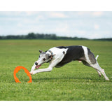 Juguete ultra resistente para perros BIONIC Toss-N-Tug Turbo