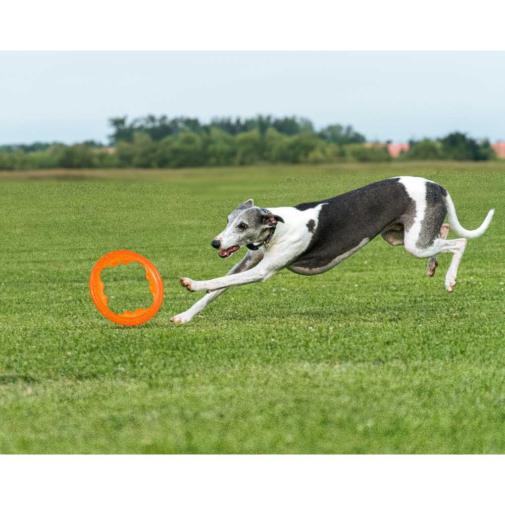 Juguete ultra resistente para perros BIONIC Toss-N-Tug Turbo