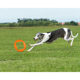 Juguete ultra resistente para perros BIONIC Toss-N-Tug Turbo