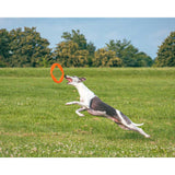Juguete ultra resistente para perros BIONIC Toss-N-Tug Turbo