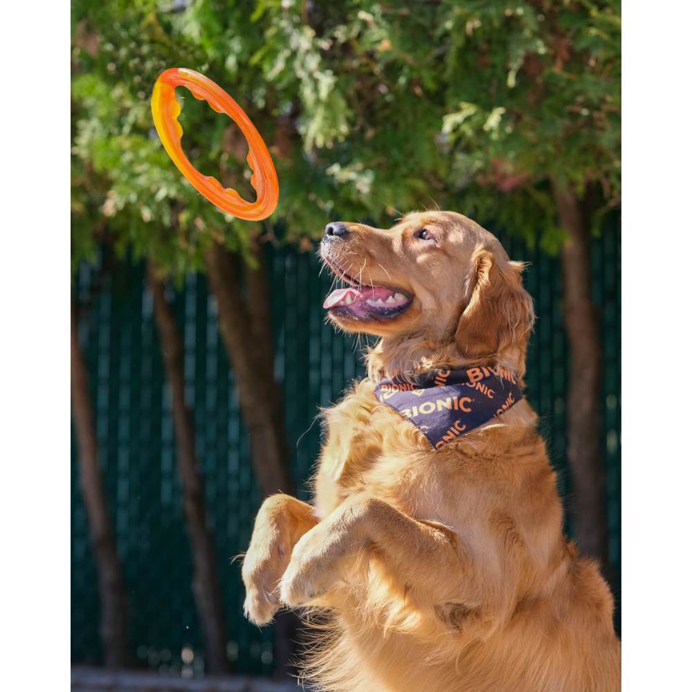 Juguete ultra resistente para perros BIONIC Toss-N-Tug Turbo