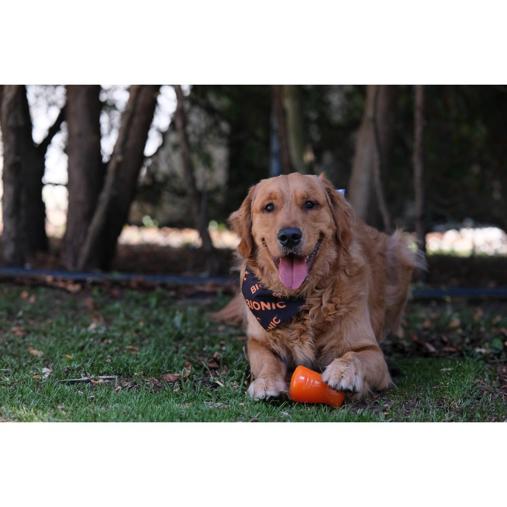 Juguetes ultra resistentes para perros BIONIC Treat Shaker