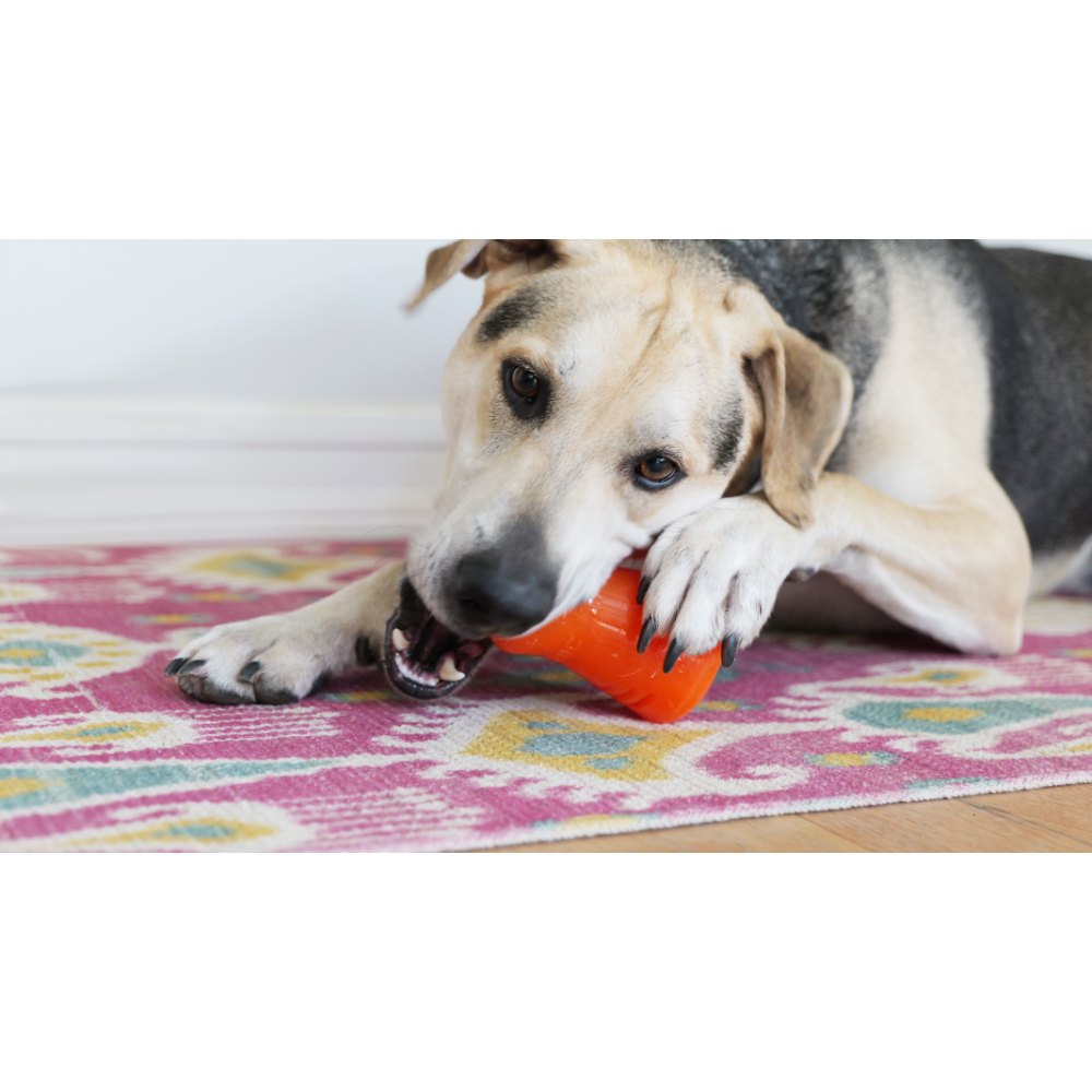 Juguetes ultra resistentes para perros BIONIC Treat Shaker