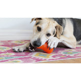 Juguetes ultra resistentes para perros BIONIC Treat Shaker
