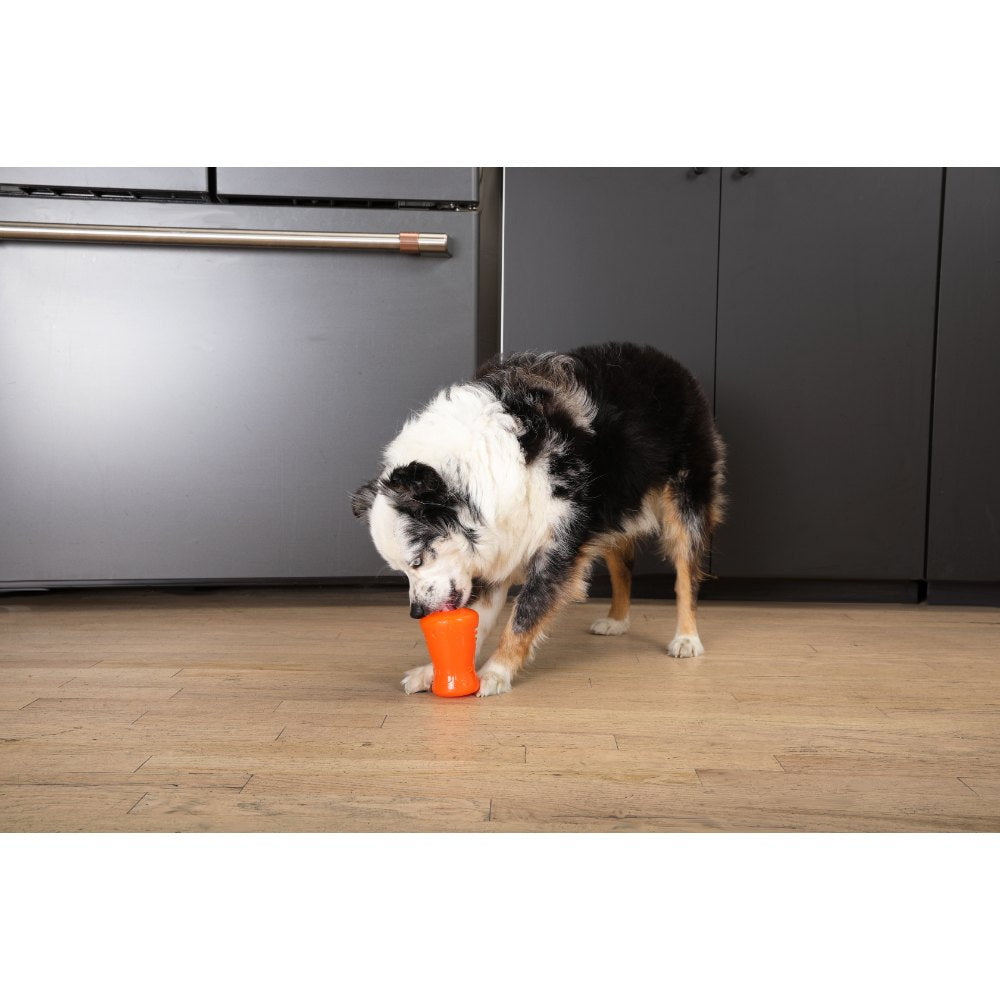 Juguetes ultra resistentes para perros BIONIC Treat Shaker