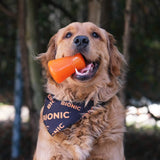 Juguetes ultra resistentes para perros BIONIC Treat Shaker
